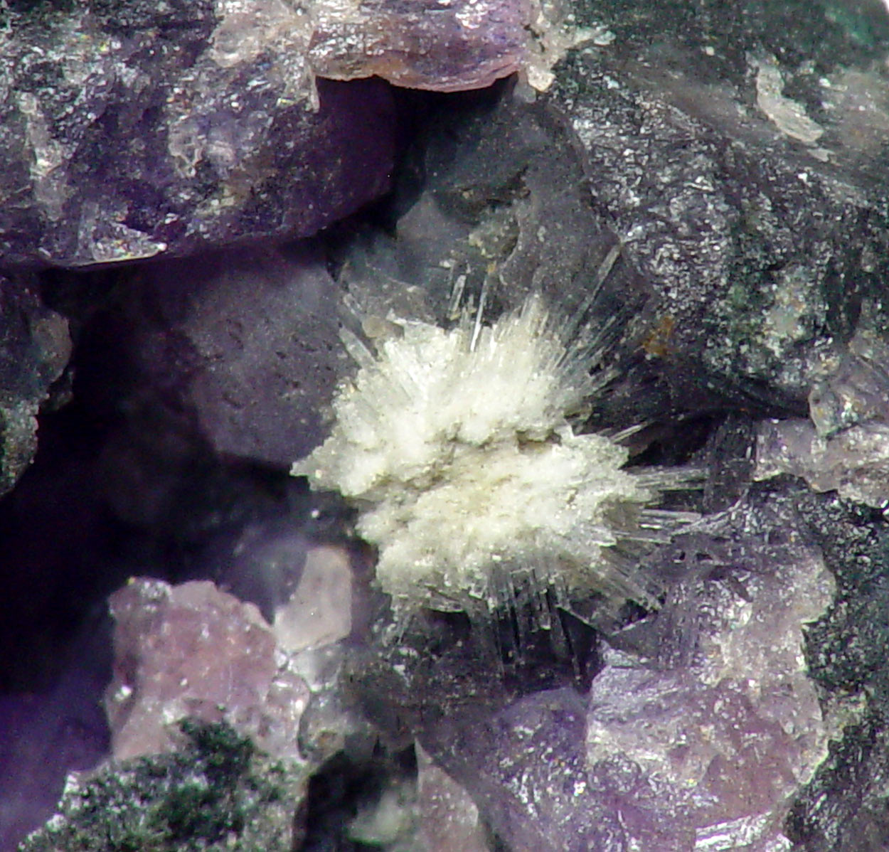 Carlhintzeite On Strengite