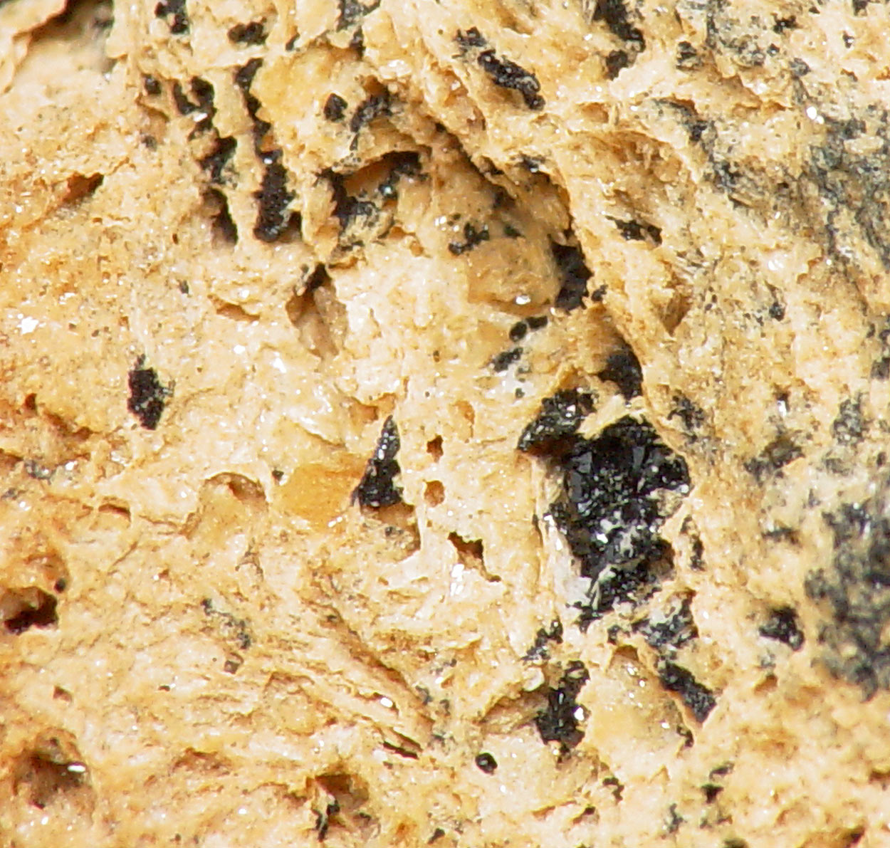 Barbosalite