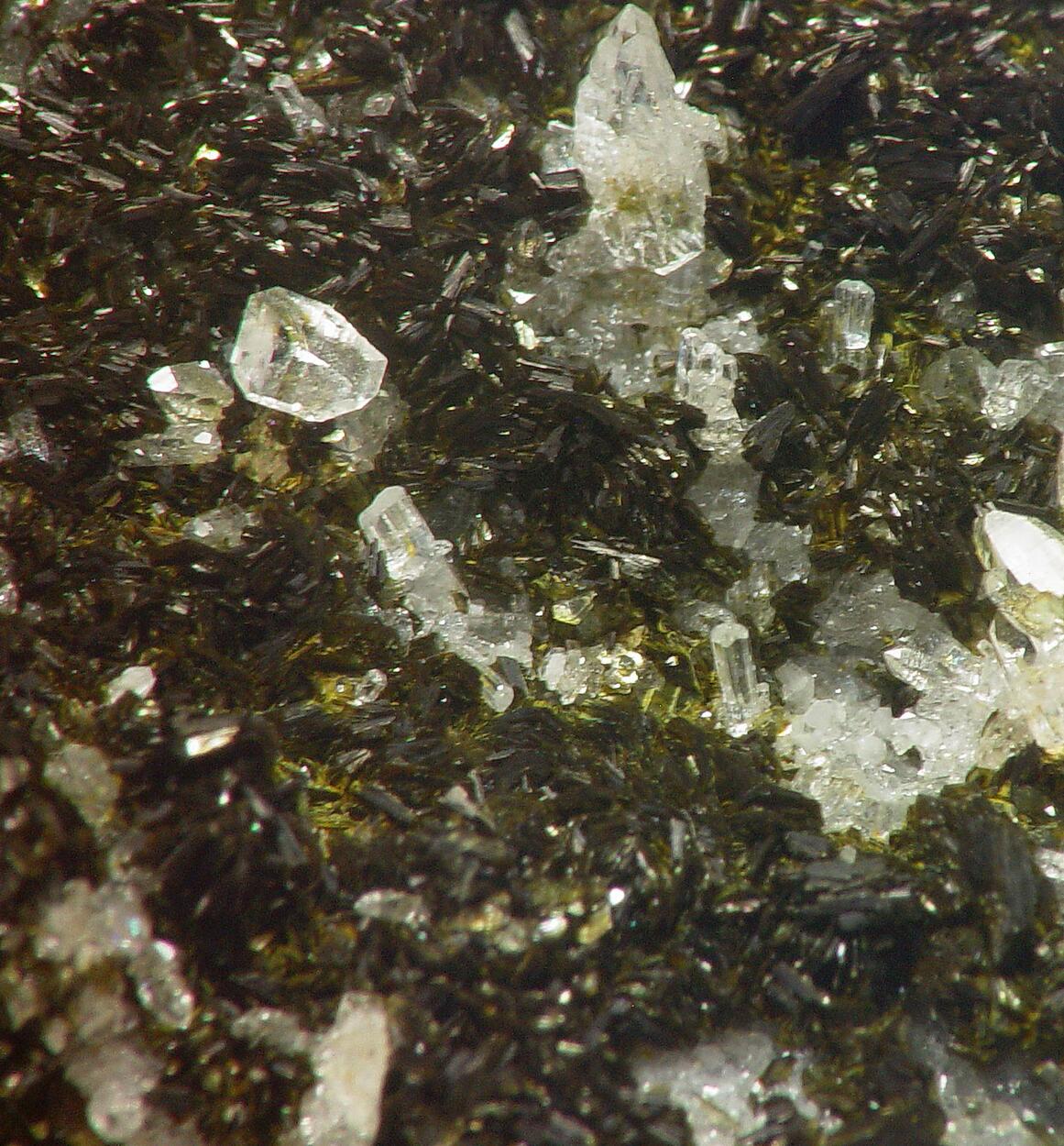 Fluorapatite