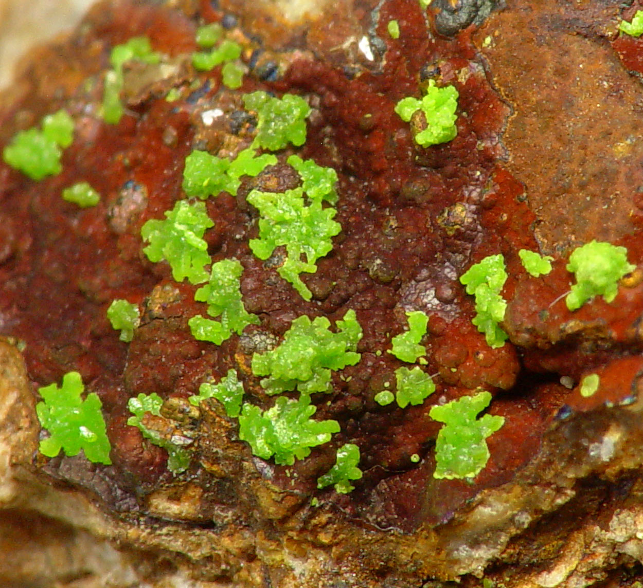 Emmonsite