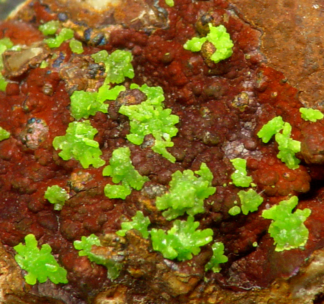 Emmonsite
