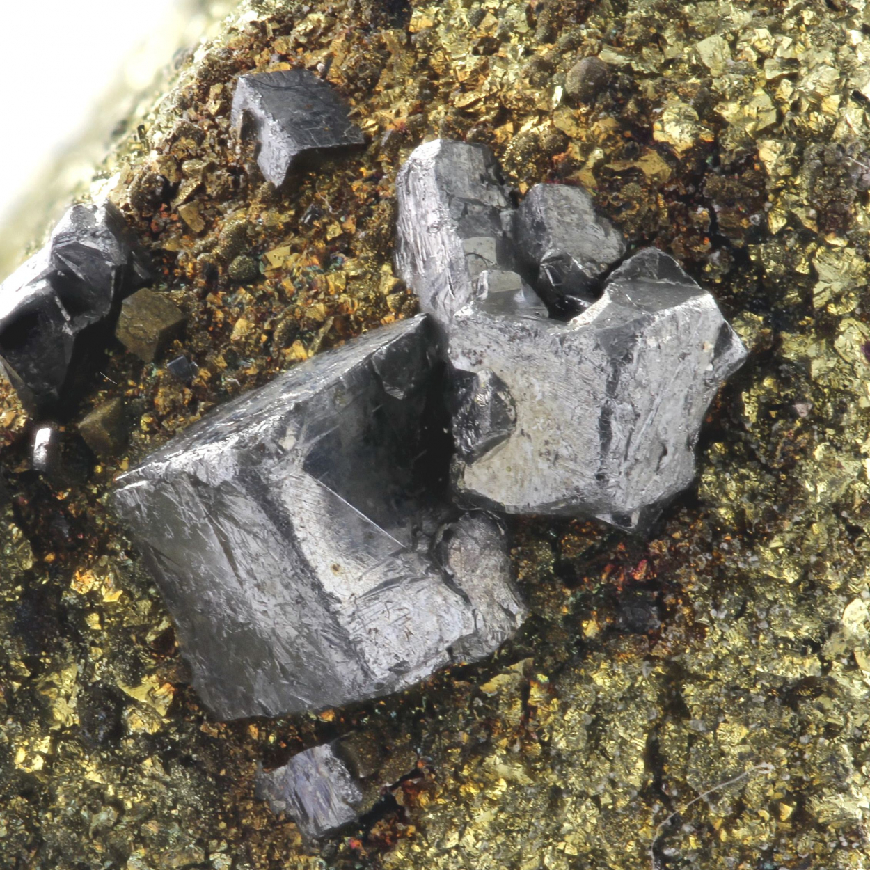 Acanthite On Chalcopyrite