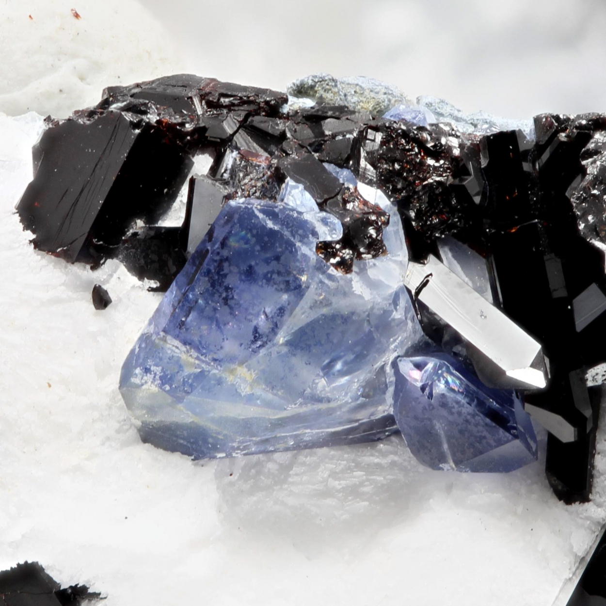 Benitoite With Neptunite