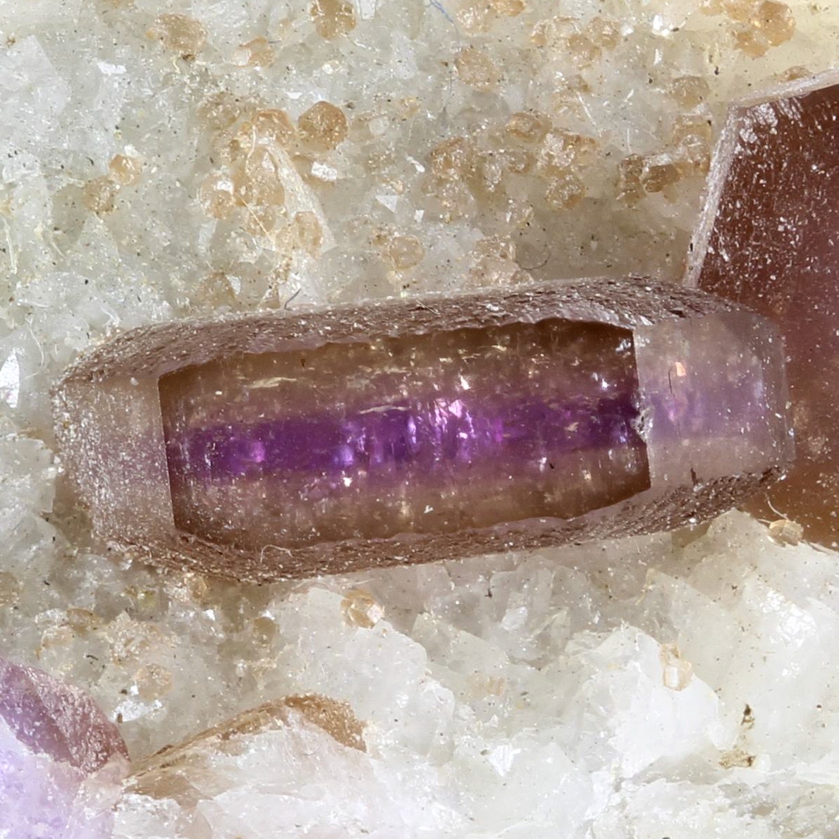 Fluorapatite