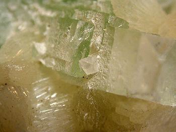 Powellite Fluorapophyllite & Stilbite