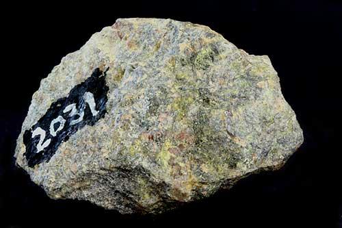 Bismite