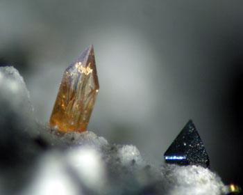 Titanite With Ferro-hornblende