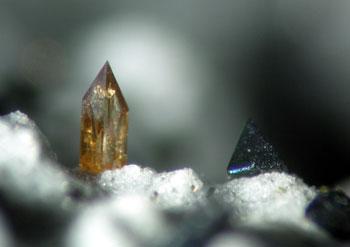 Titanite With Ferro-hornblende