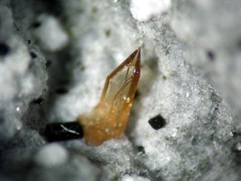 Titanite With Ferro-hornblende