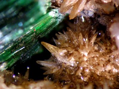 Szenicsite With Powellite