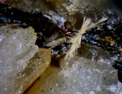 Onoratoite Stibnite & Quartz