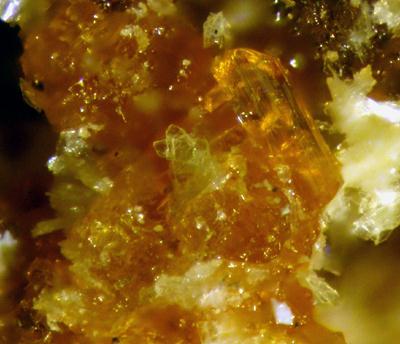 Parabutlerite & Copiapite