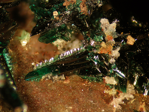 Anatacamite & Tamarugite