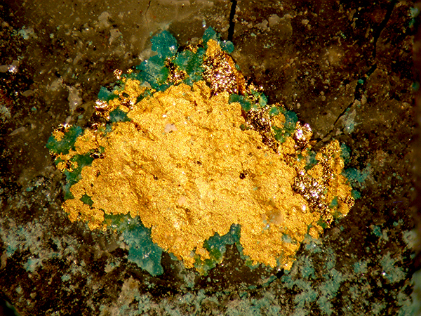 Gold Boleite & Atacamite