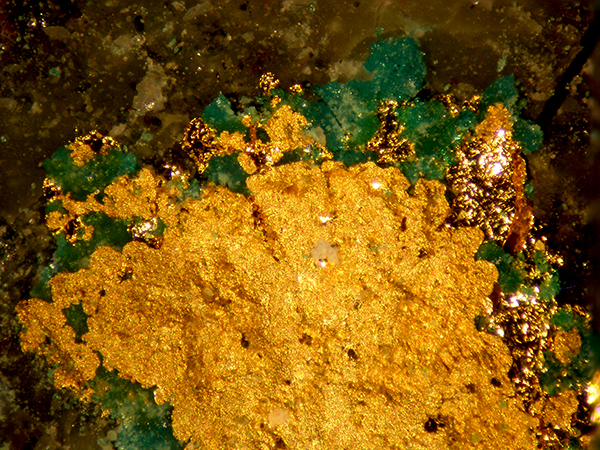 Gold Boleite & Atacamite