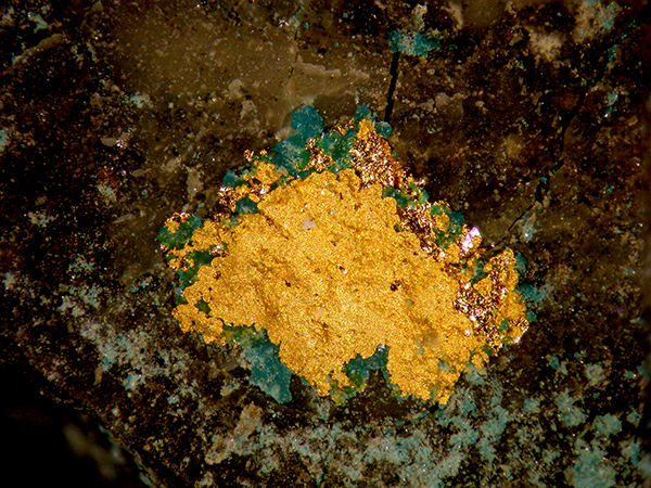 Gold Boleite & Atacamite