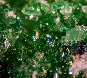 Natrochalcite With Atacamite