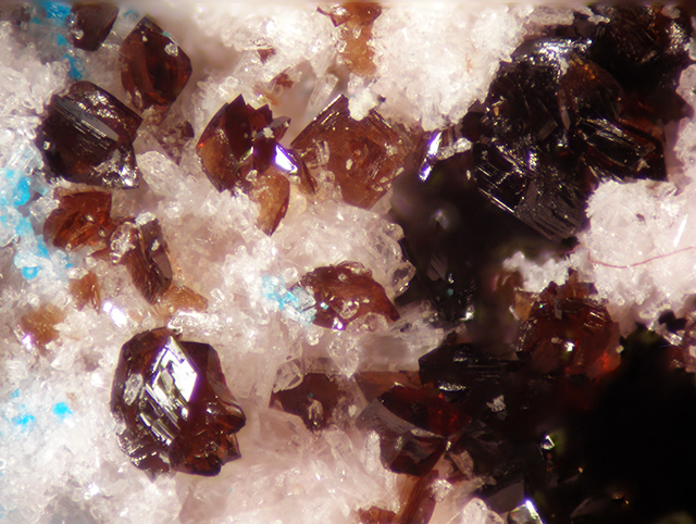 Canutite Magnesiokoritnigite & Lavendulan