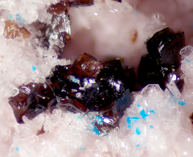 Canutite Magnesiokoritnigite & Lavendulan