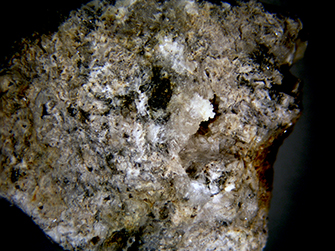 Latiumite