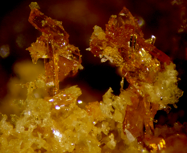 Parabutlerite & Copiapite