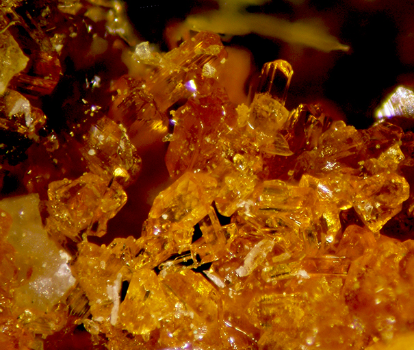 Parabutlerite & Copiapite