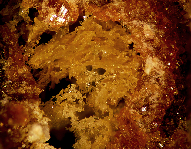 Parabutlerite & Copiapite