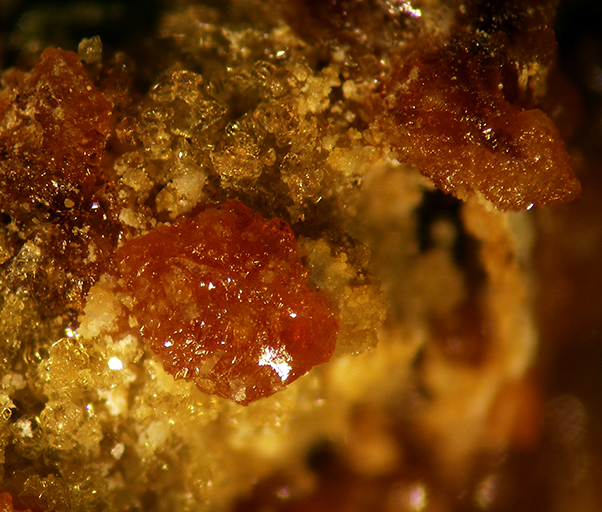 Parabutlerite & Copiapite