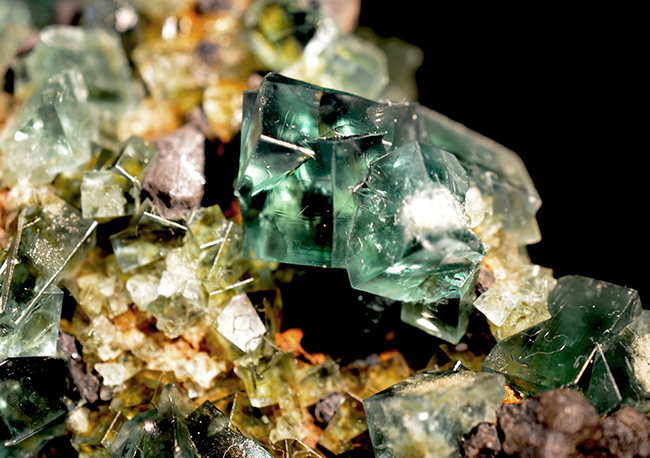 Fluorite & Galena