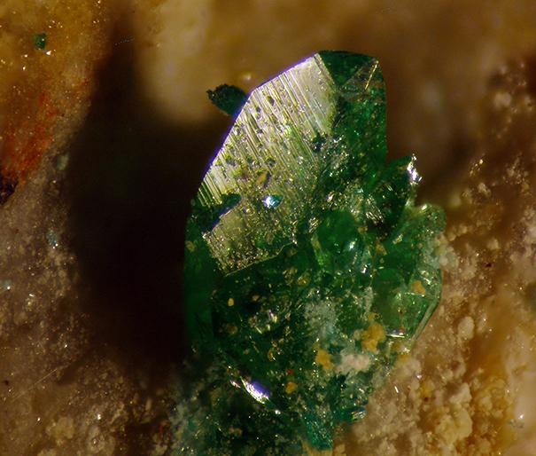 Natrochalcite & Atacamite