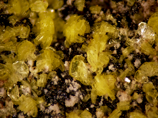 Autunite