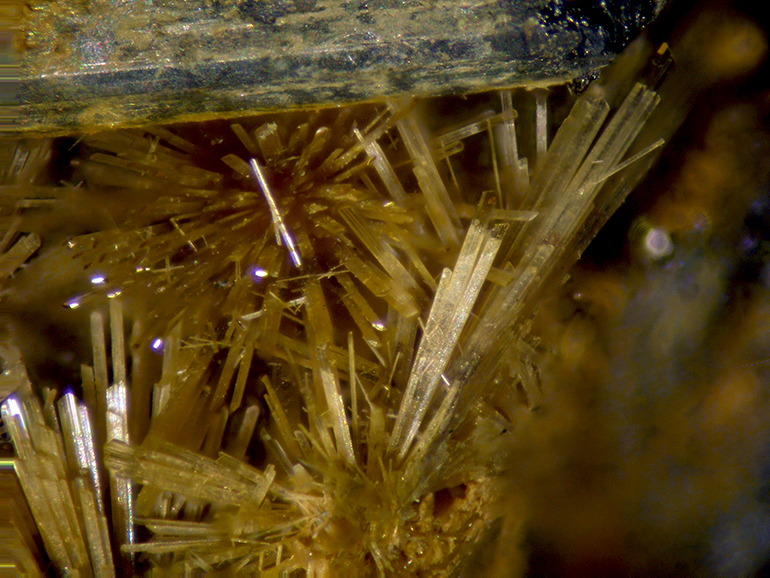 Klebelsbergite & Stibnite