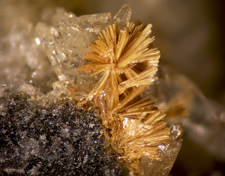 Cervantite