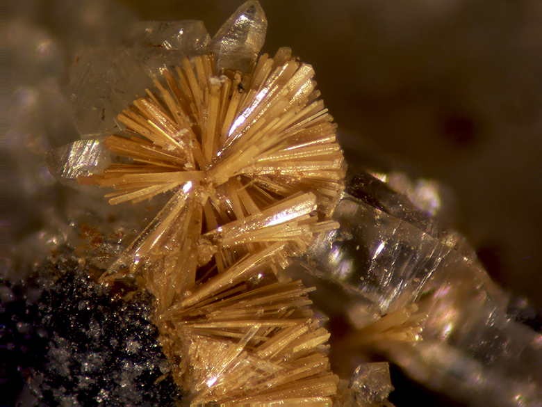 Cervantite