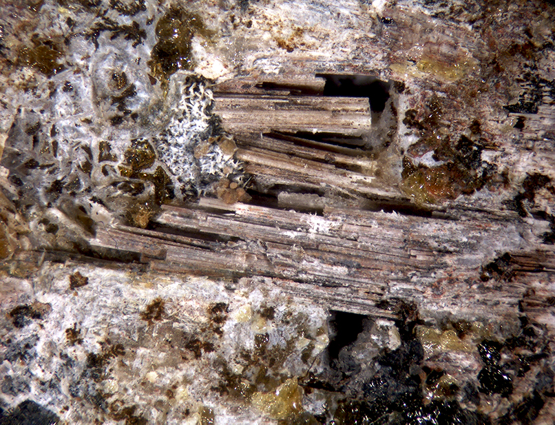 Kaliophilite