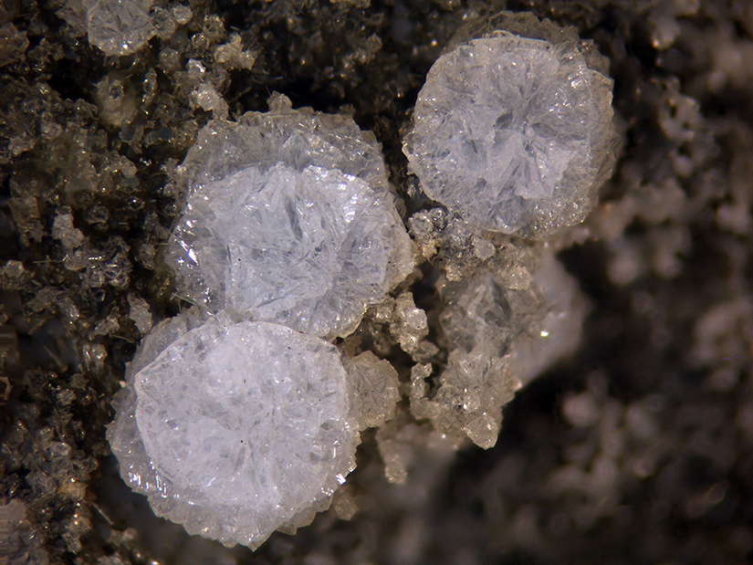 Phacolite