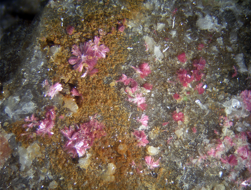 Erythrite & Zeunerite