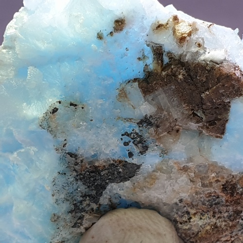 Aragonite Var Flos Ferri