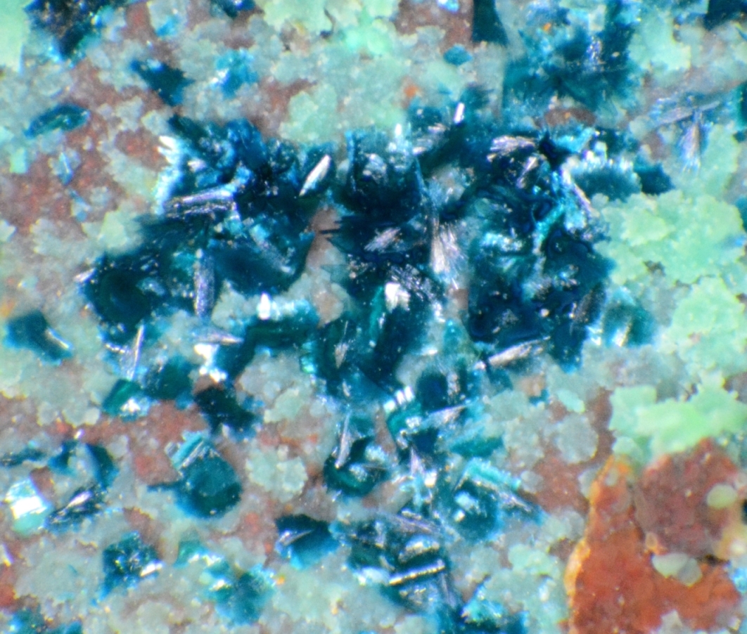 Clinoclase Strashimirite & Cornwallite