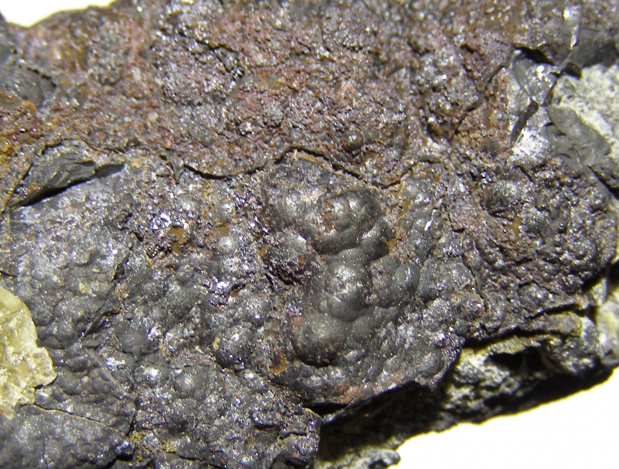 Arsenic Pyrargyrite & Siderite