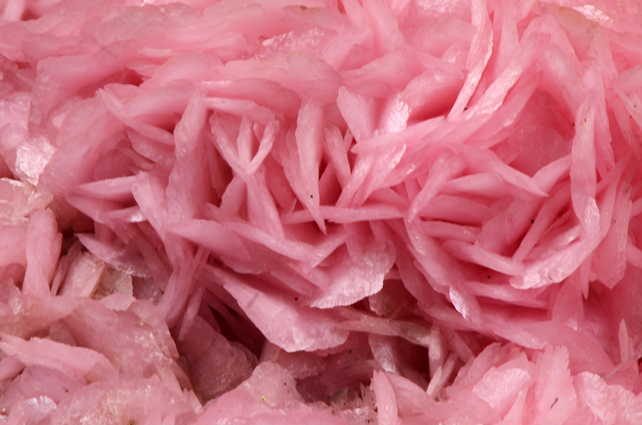 Rhodochrosite