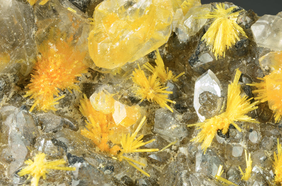 Boltwoodite