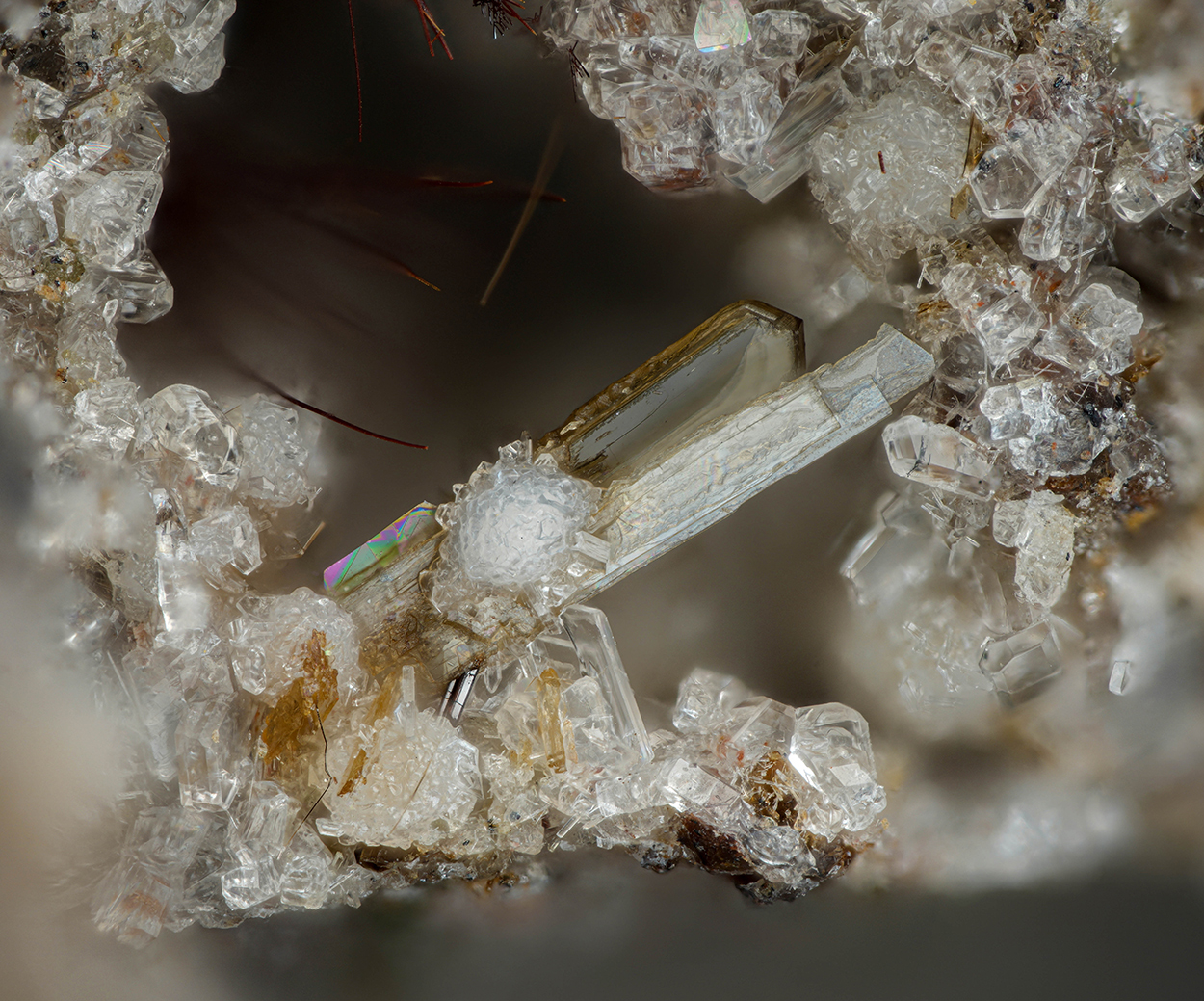 Warwickite Enstatite Fluorophlogopite Hematite & Tridymite