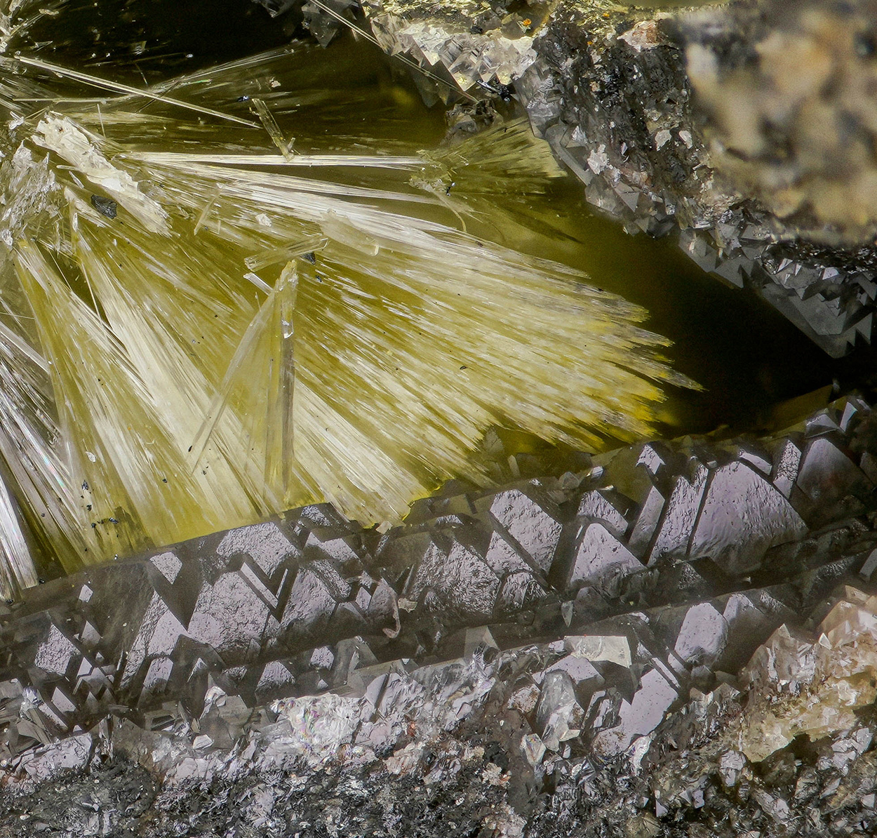 Valentinite Sénarmontite & Coquandite