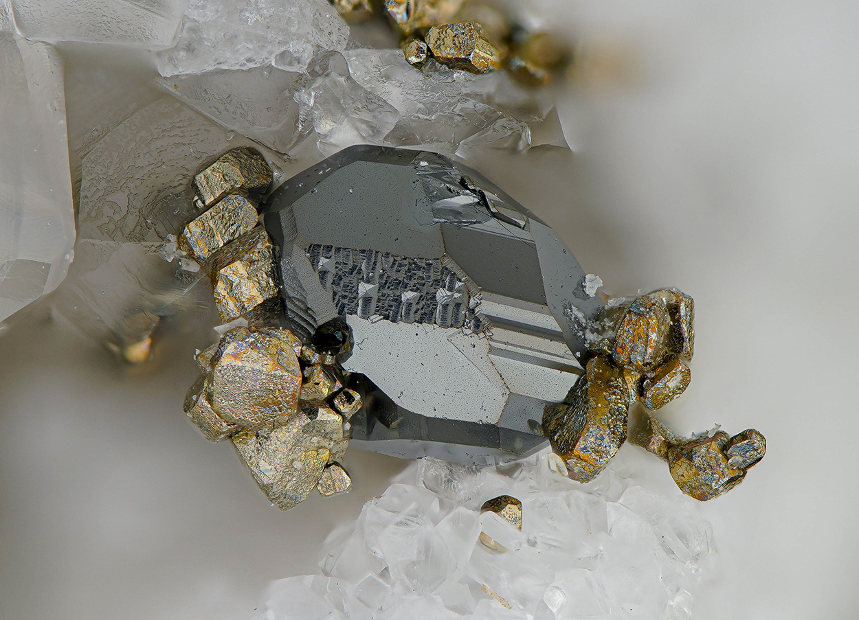 Tennantite-(Zn) & Pyrite