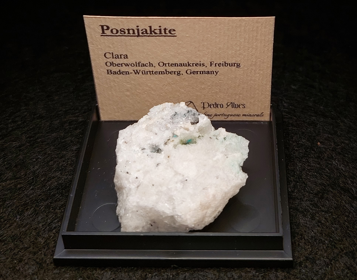 Posnjakite