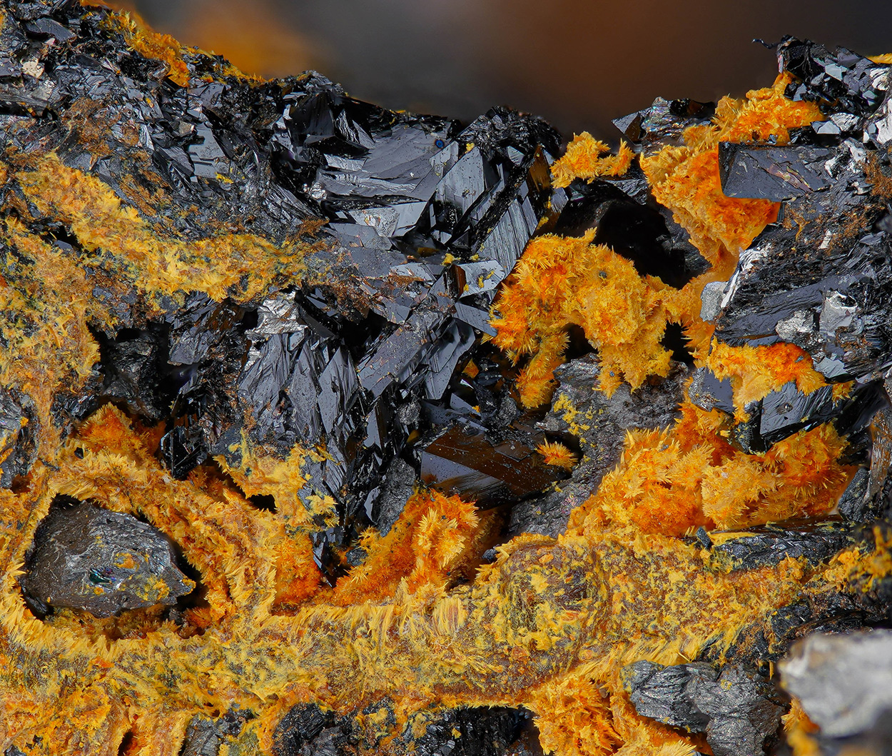 Schneiderhöhnite & Karibibite