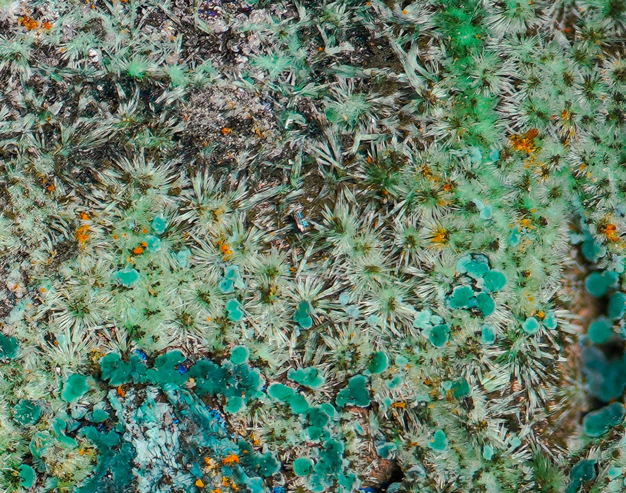 Redgillite