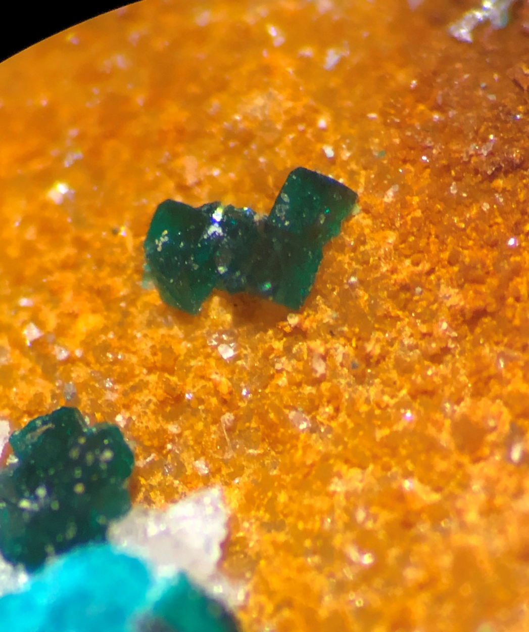Paratacamite