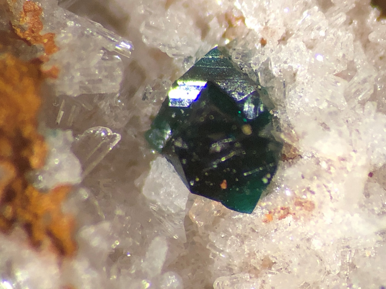 Paratacamite